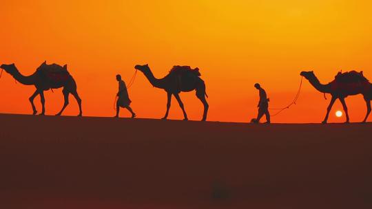 沙漠景观戈壁沙漠沙漠骆驼沙漠日落视频素材模板下载