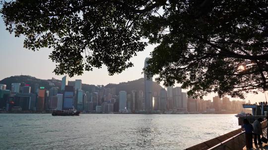 香港维多利亚港地标视频素材模板下载