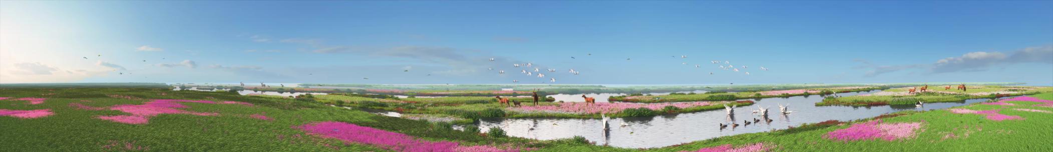 10三维绿色生态湿地动画演绎