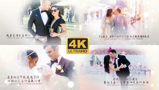 4K最美的季节 爱上最美的你-婚礼相册VLOG高清AE视频素材下载