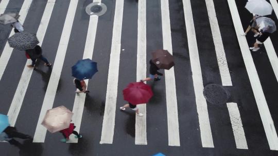 行人在下雨天打雨伞过斑马线马路