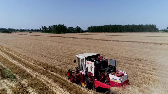 航拍小型机械收割小麦