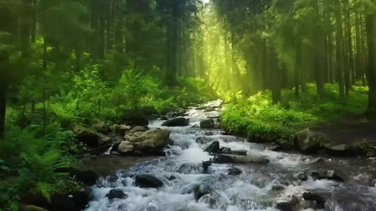 逆光溪流河流森林自然视频素材模板下载