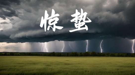 惊蛰/春分/雷雨/春雨/发芽/生长/复苏