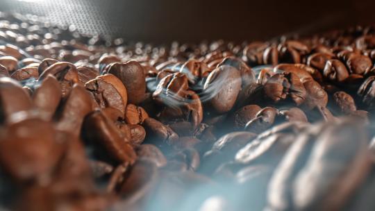 咖啡香咖啡豆种子特写