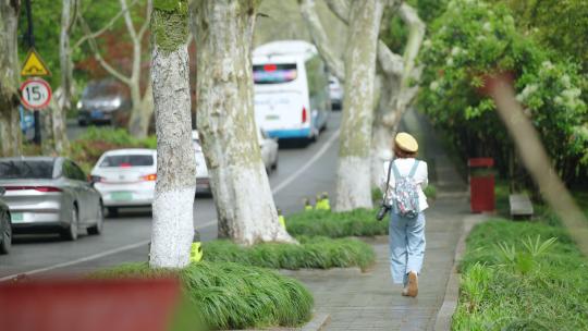 春天杭州道路交通车辆行人自然