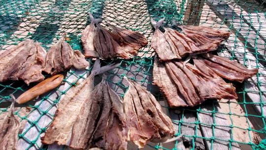 户外钓鱼网上的晒干鱼，锅左详细当地海鲜，洛斯罗克