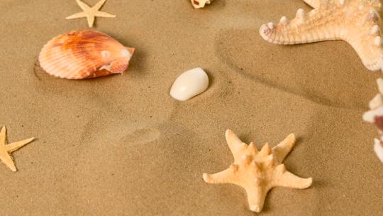 海星和贝壳在沙滩上，旋转，特写