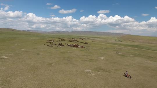 蒙古草原上奔跑的骏马2视频素材模板下载