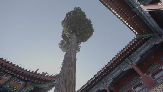 北京恭王府