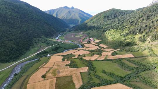 航拍川西高原贡嘎山乡上城子村藏式民居田园