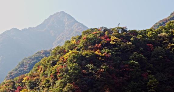 陕西秦岭太平森林公园秋景