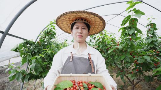 中年女性农民在果园手捧竹篮樱桃