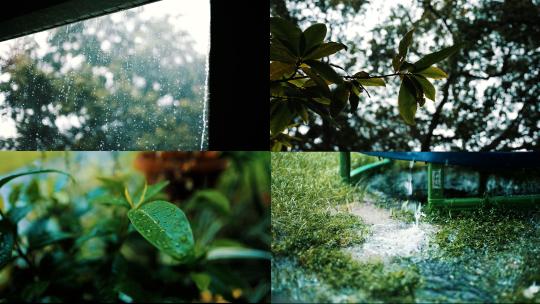 窗外下雨雨天雨水打在树叶上雨滴