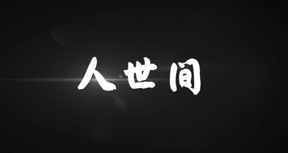 《人世间》雷佳 歌词字幕 MV歌词