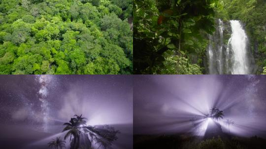 【合集】森林 热带雨林景观 树木 夜景 瀑布