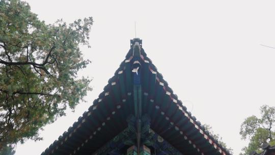 北京西山大觉寺禅院寺庙2