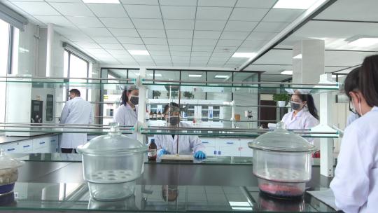 实验室化学科学实验基地科技研究生物分析视频素材模板下载