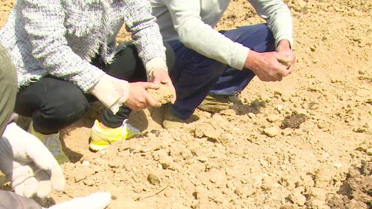 0351 农业专家考察土壤视频素材模板下载
