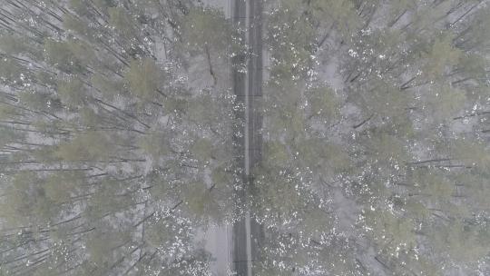 唯美冬季长白山雪景穿过原始森林的公路