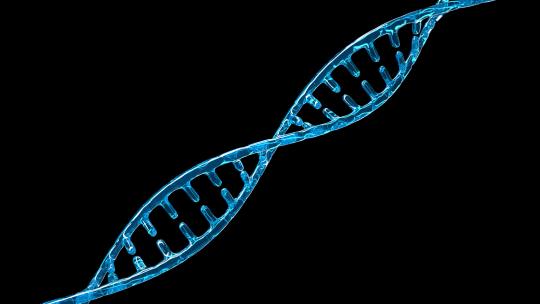 DNA 遗传物质_alpha通道