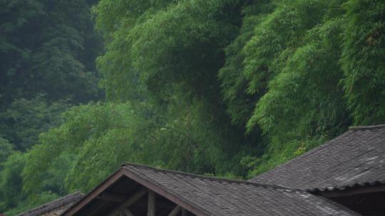 远景竹林山村老屋