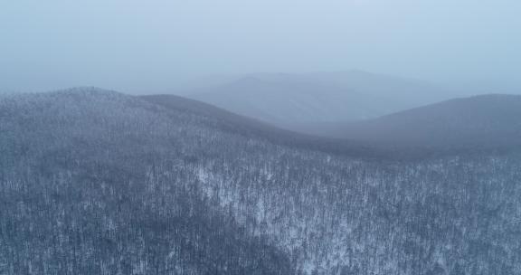 航拍兴安岭冬天下雪时的山林雾凇