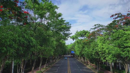 深圳城市航拍深圳南山区科技园