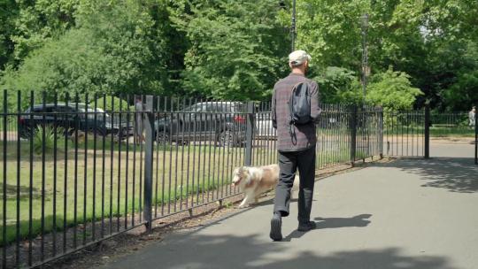 时髦男人和狗在散步