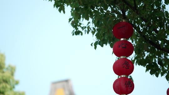 杭州上天竺寺庙古建筑 树上挂着灯笼