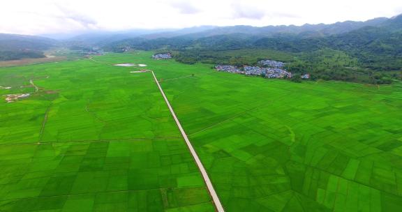 绿油油的云南稻田航拍风景