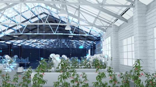 数字化科技大棚