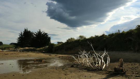 新西兰云和浮木景观视频素材模板下载