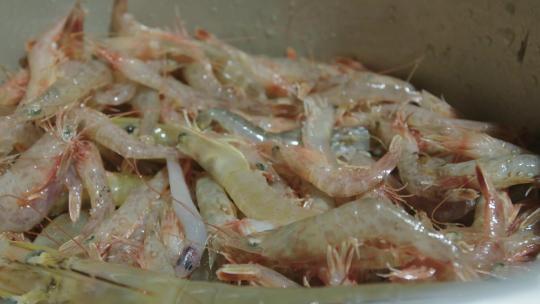 4kl1广东雷州渔民清洗鲜虾视频素材模板下载