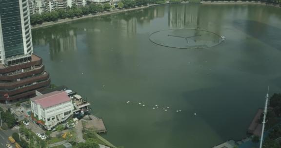 上海城市公园湖泊