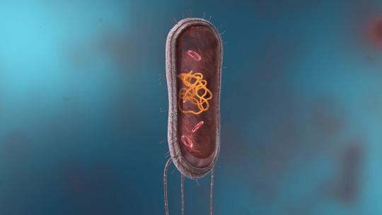 细菌真菌细胞微生物杆菌DNA病菌病原体