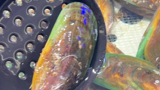 海虹贝壳蛤蜊小海鲜甲壳自助餐 ~视频素材模板下载
