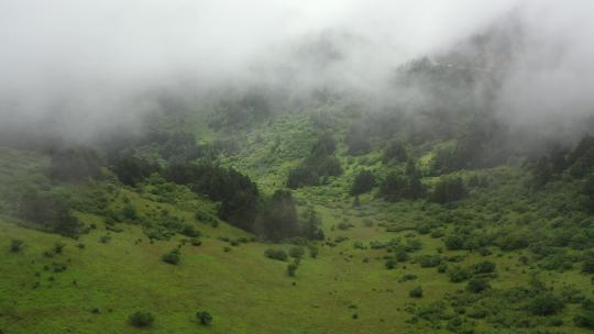 湖北神农架神农顶云雾缭绕自然风光