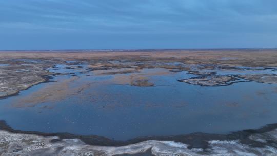 航拍草原湿地湖泊沼泽地候鸟栖息地风光