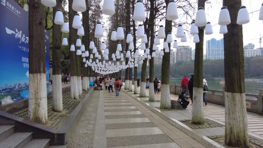 2022年北湖公园花灯展白色灯与树