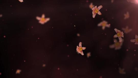 百合花朵飘飞LED唯美演绎背景视频素材模板下载
