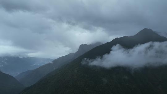 雨崩村大雾