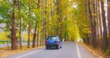 秋天树道公路行车唯美景色高清在线视频素材下载