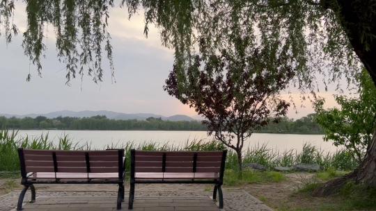 颐和园昆明湖东南隅长椅看日落视频素材模板下载
