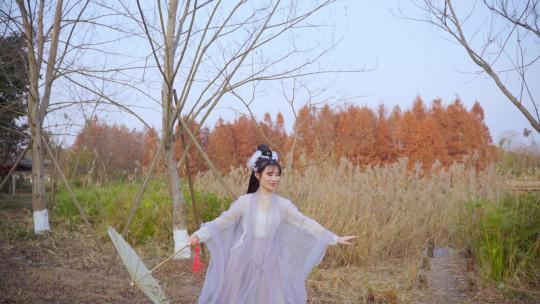 古装舞蹈汉服妹妹美女姐姐湿地公园剧情短片