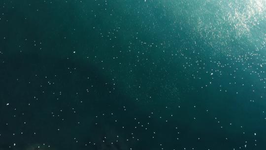 青岛栈桥蓝色海面上聚集的海鸥视频素材模板下载