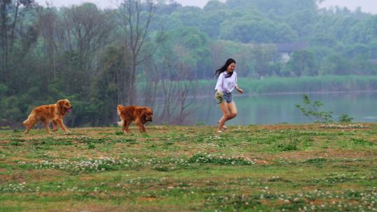美女和宠物犬金毛狗在春天鲜花草地湖边奔跑