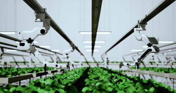 智能机器农民农业2