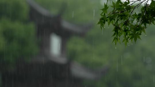144 杭州 古建筑 下雨天 亭子 树枝