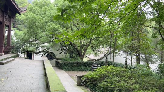 杭州古典园林景观  4k